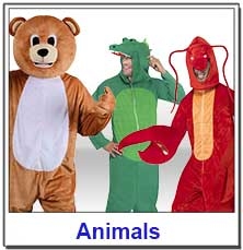 Animals Teacher Costumes