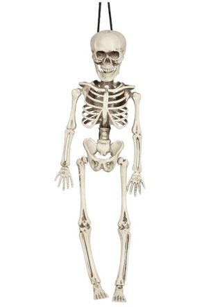Hanging White Skeleton - 40cm