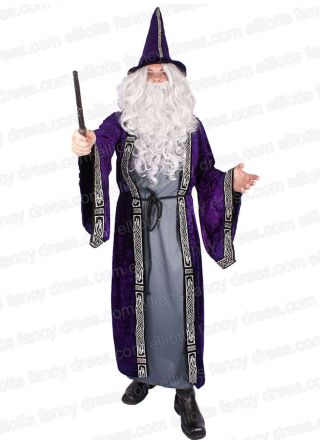 Great Wizard Robe 