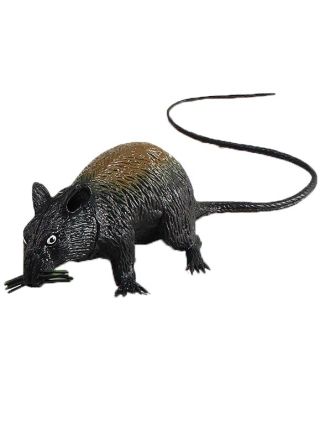 Squeaking Rat 14cm