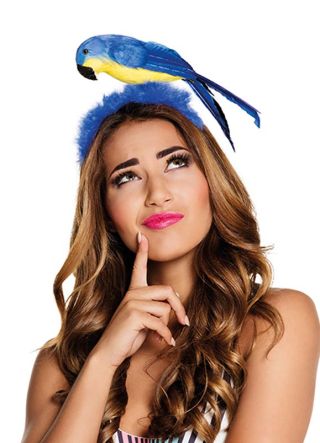 Feather Parrot on Headband - Assorted