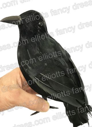 Feather Crow / Raven Halloween Prop 20cm