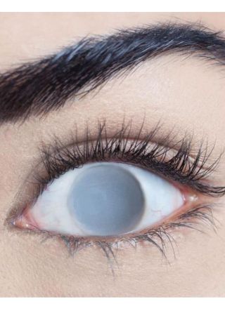 Blind Grey Contact Lenses - One Day Wear