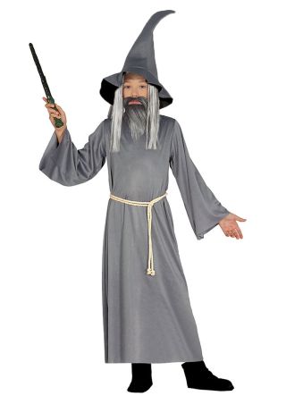 Boys Grey Mythical Wizard of Rings Costume