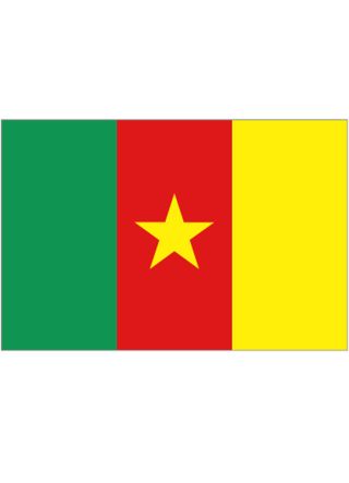 Cameroon Flag 5ftx3ft