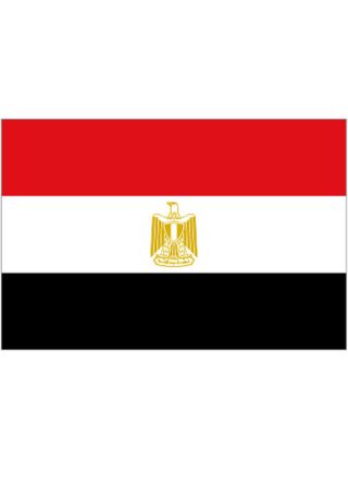 Egypt Flag 5x3