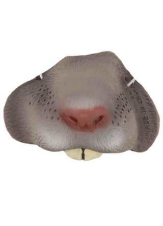 Mouse Nose