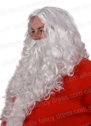 Santa or Wizard Wig and Beard