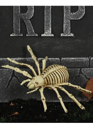 Skeleton Spider 23cm