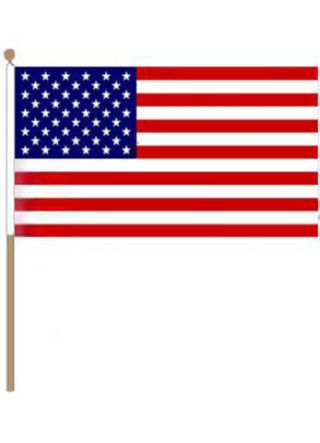 United States - USA Hand Flag 18" x 12" 