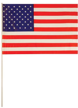 United States - USA Mini Hand Flag 7''x11''