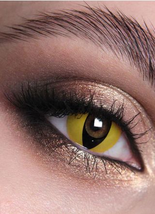 Wild Cat Contact Lenses - One Day Wear