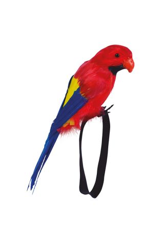 Colourful Feathered Parrot For Wrist 29cm